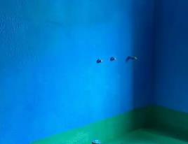 新津卫生间测漏水多少钱