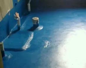 新津卫生间测漏水多少钱